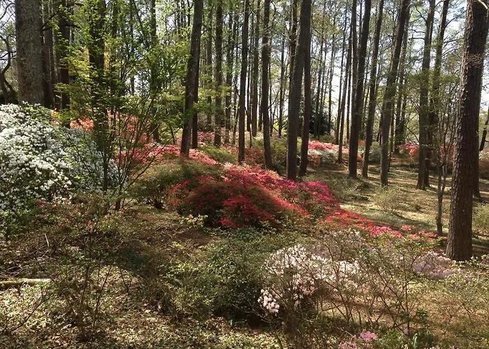 Callaway Resort & Gardens